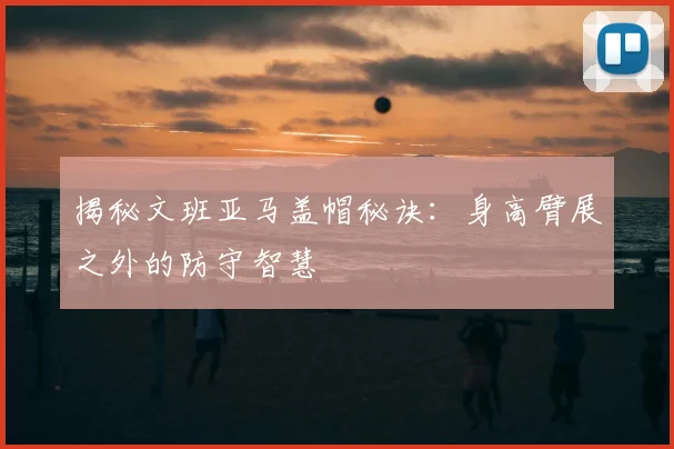 揭秘文班亚马盖帽秘诀：身高臂展之外的防守智慧