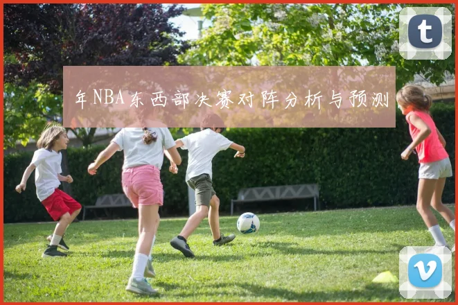 年NBA东西部决赛对阵分析与预测